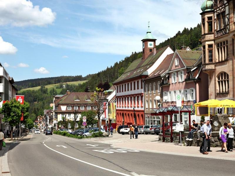 H-Apartment 1 Triberg im Schwarzwald Ngoại thất bức ảnh